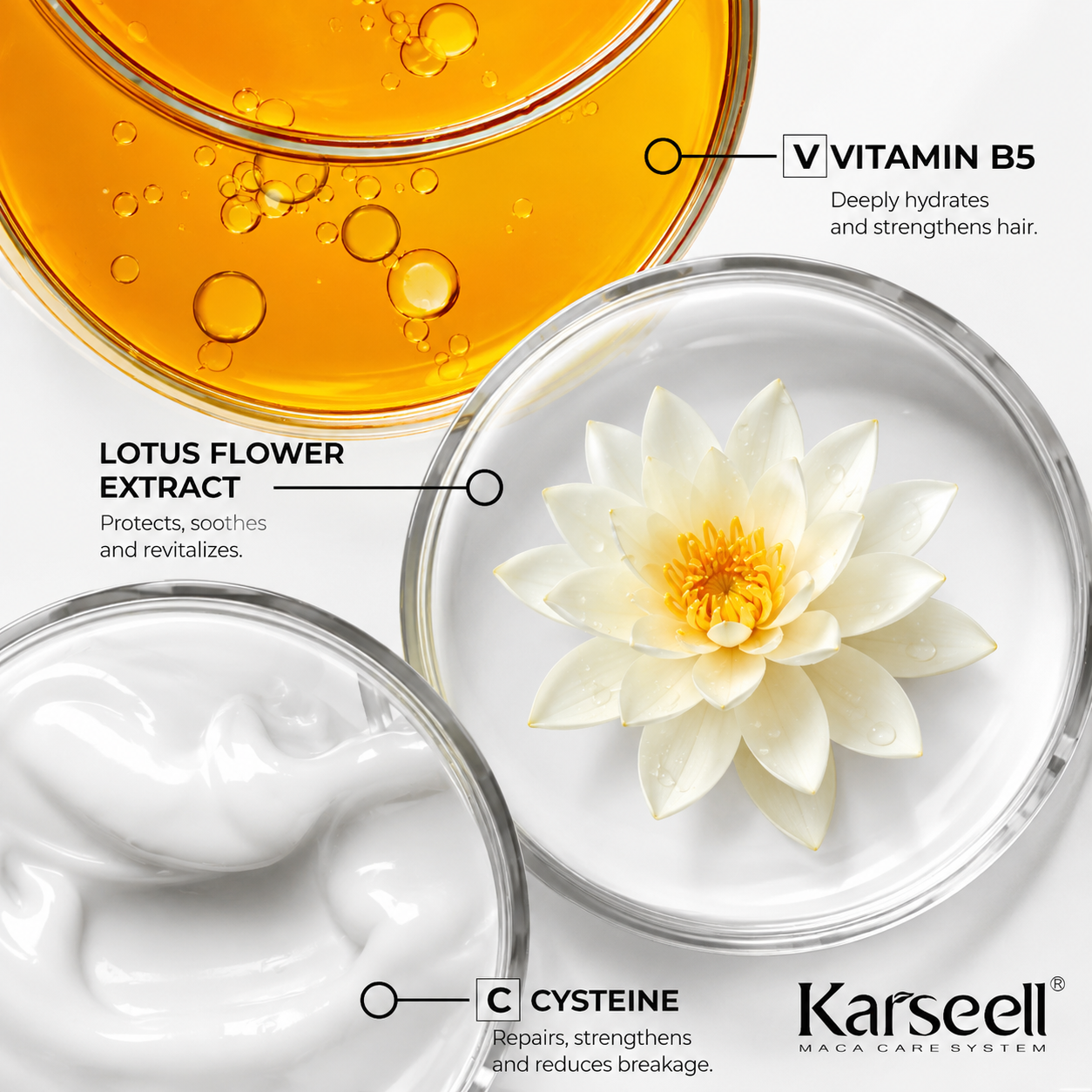 Karseell Essential Kit